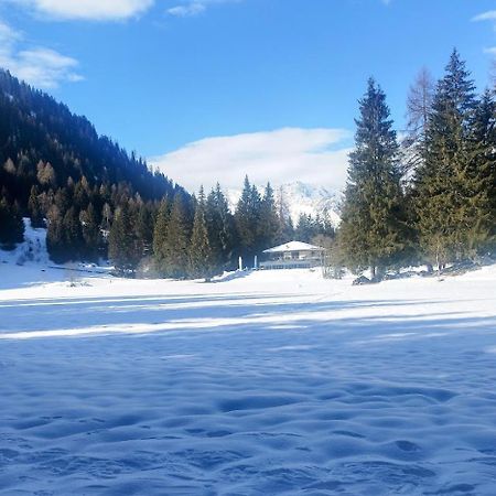 Appartamento Caprioli بيليزانو المظهر الخارجي الصورة